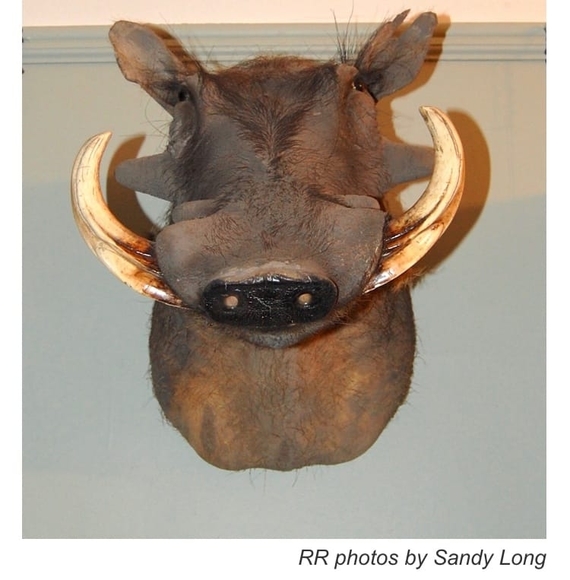 Meet your Posher, Johnny - Picture 1 of 1